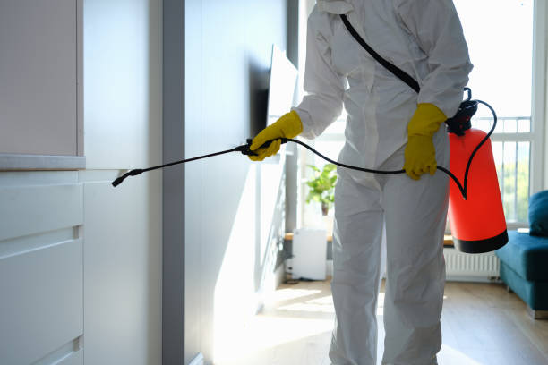 Best Post-Remediation Services in Tiburon, CA