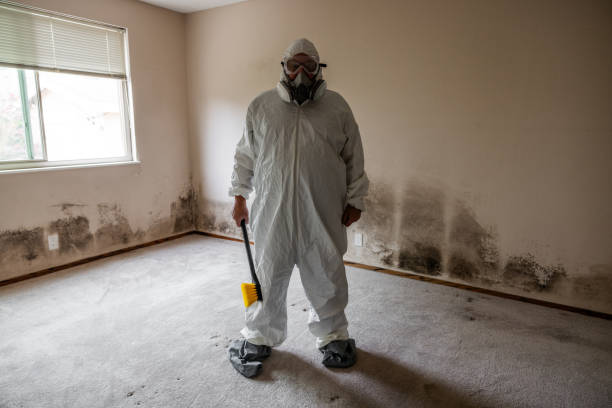 Best Emergency Mold Remediation in Tiburon, CA